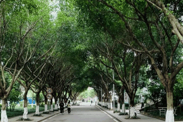 重庆铁路运输技师学院_校园环境