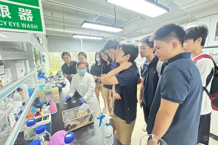广州华附AP国际学校_老师上课场景