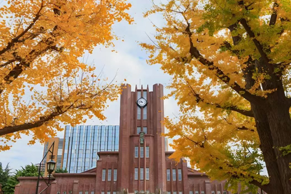 国际学校环境