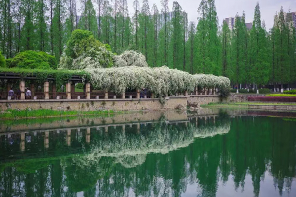校区环境