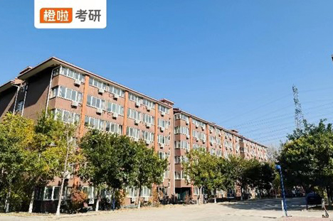 石家庄橙啦教育_学校环境4