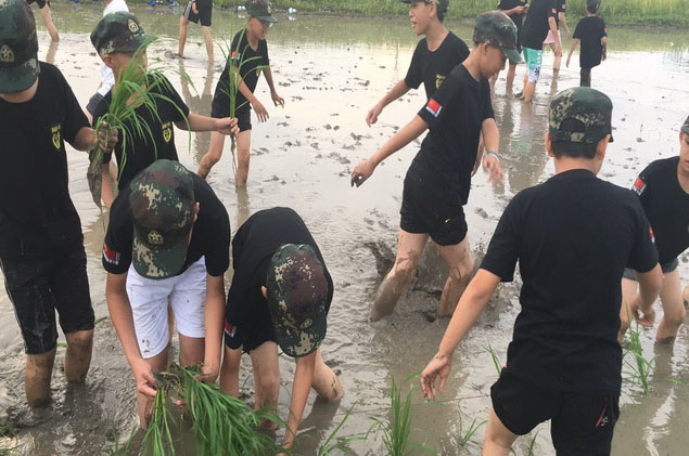 深圳黃埔軍事夏令營_團隊游戲活動場景