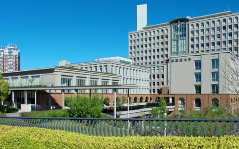 电子科技大学OSSD国际课程_学校环境2