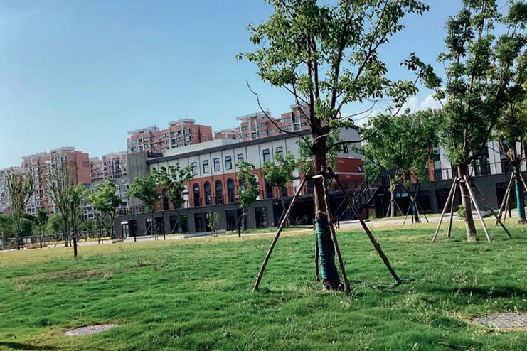上海育才教育专修学院_环境图片1