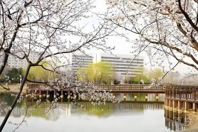 北京理工大学国际本科_学校环境8