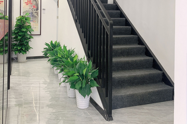 校区教学环境展示