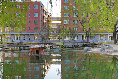 学校环境3