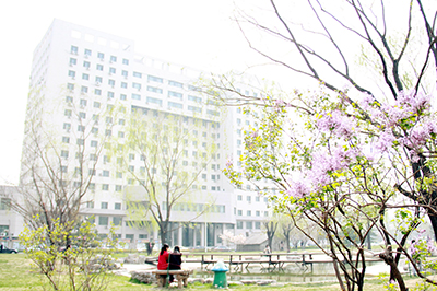 学校环境4