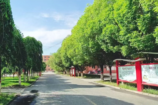 学校大道环境