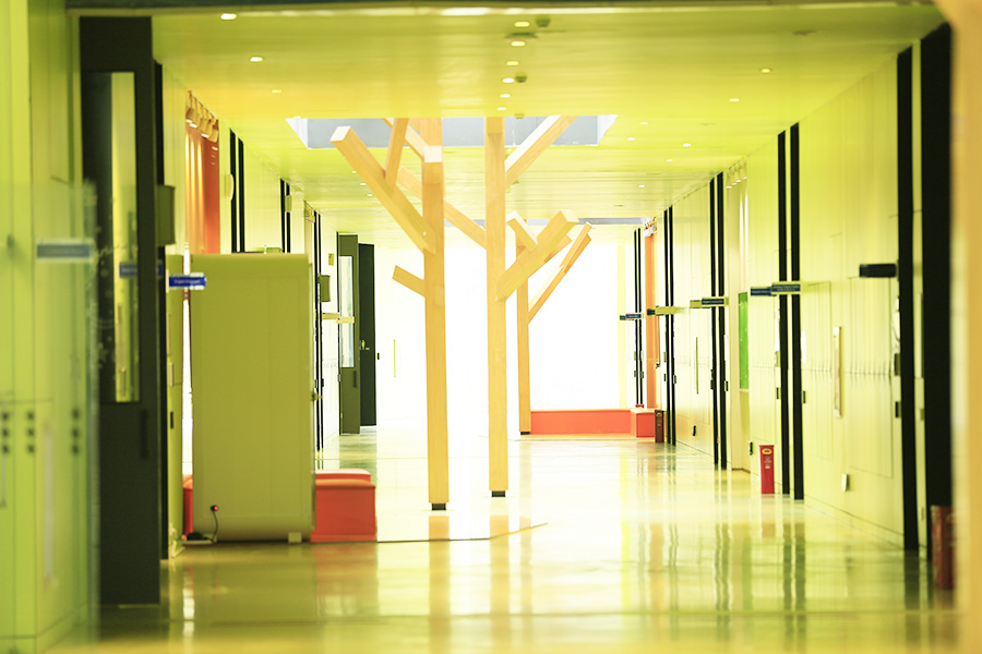 香港德萃学校_ 走廊环境