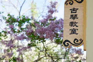 学校一角