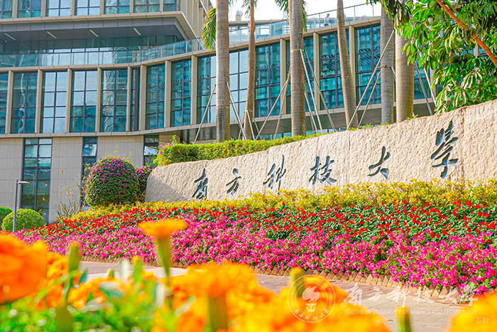 南方科技大学国际部_学校环境