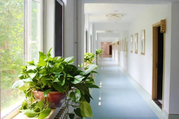 校園環境展示