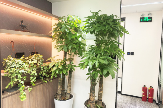 上海易鸿教育_学校环境照片