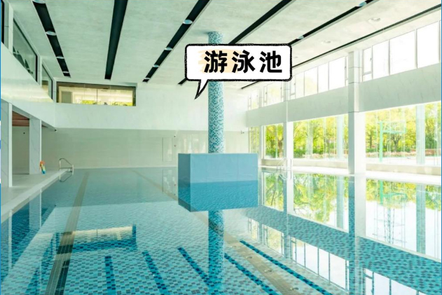 学校游泳池环境