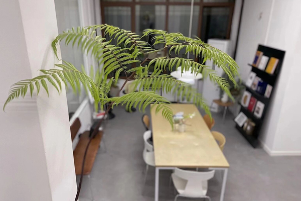 校区教学环境展示