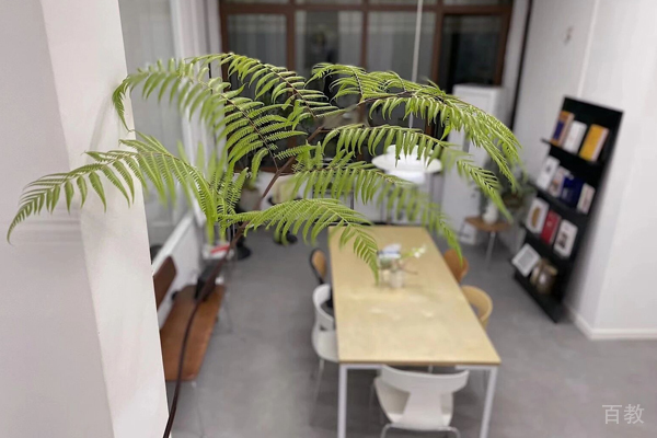 校区教学环境展示