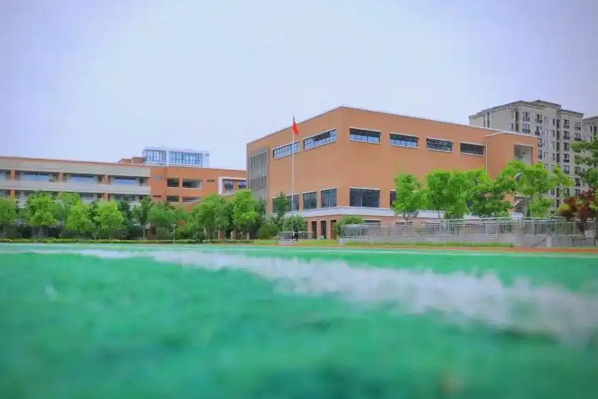 上海TICC存志学校_学校环境图片