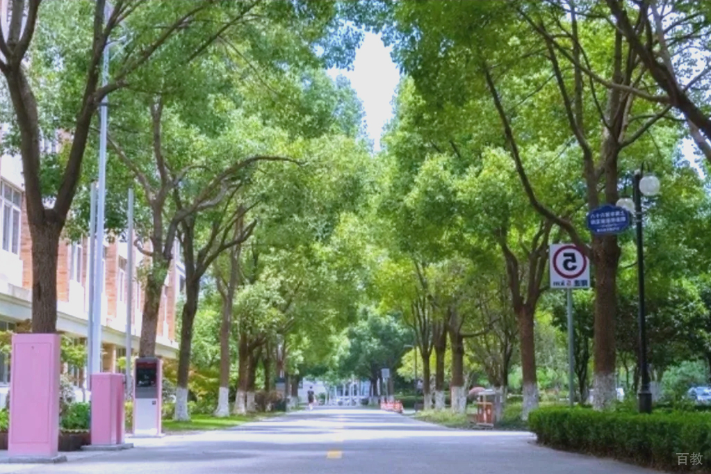 学校环境相册
