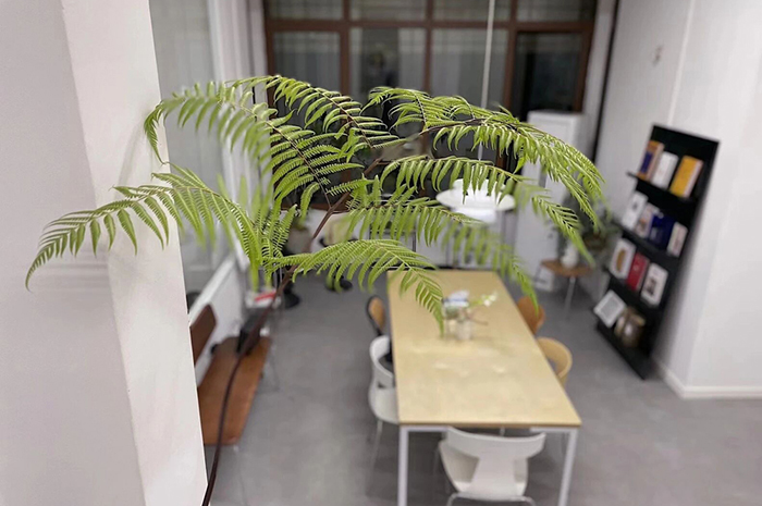 沈陽CIAO意盟_校區(qū)相冊