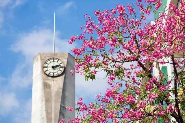 华南农业大学_校园环境