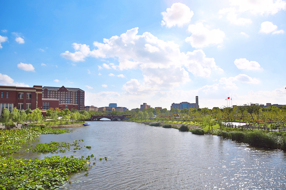 上海建桥融中_学校环境照片