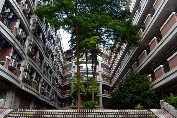 华南农业大学国际本科_校区环境展示