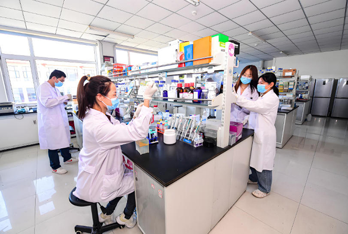 济南人民医学网_实验环境