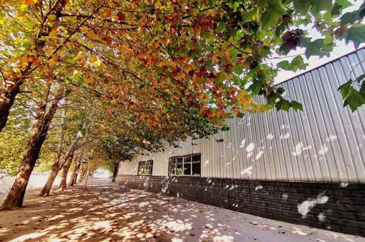 石家庄晟光无人机培训_校园环境