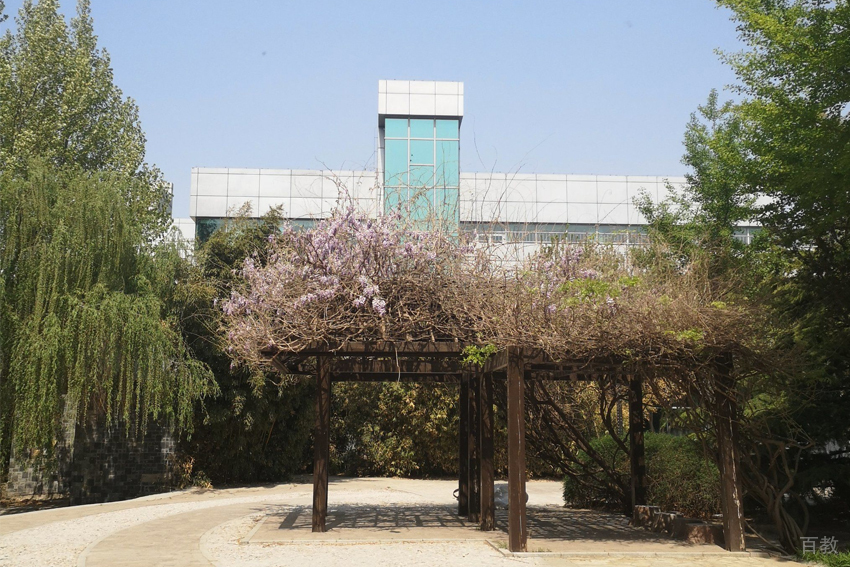 学校环境图片