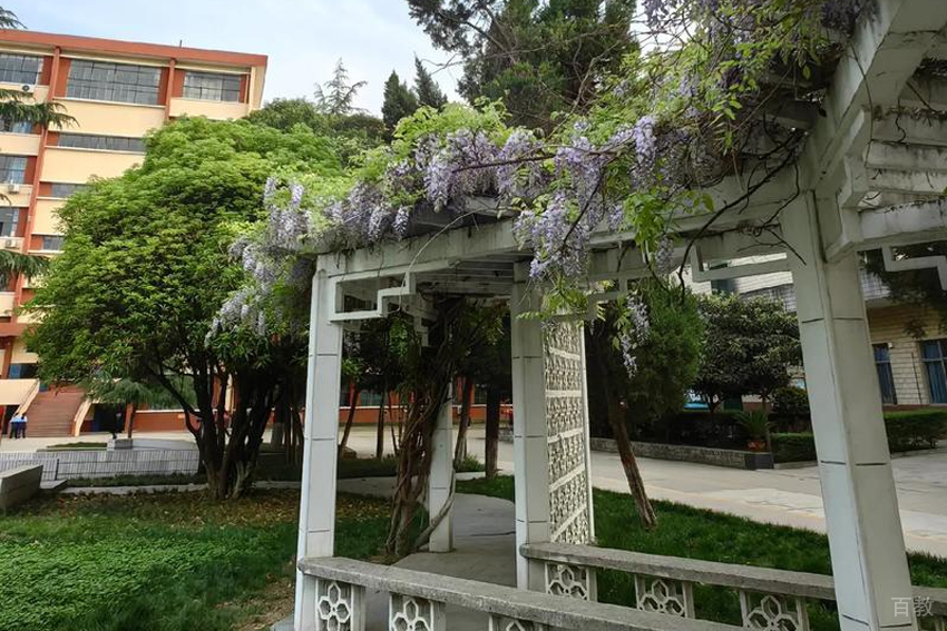 学校环境