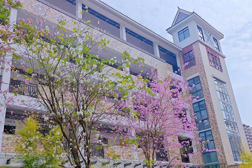 上海紫藤留学_学校环境相册图片