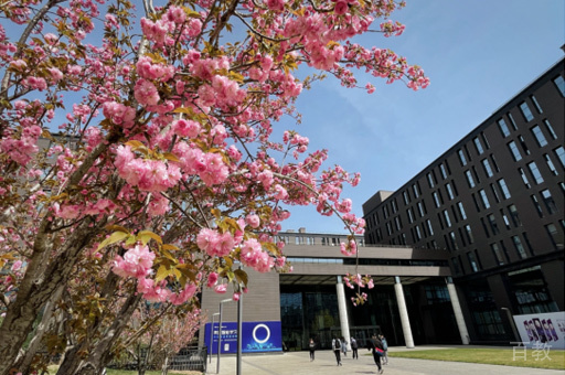 学校环境