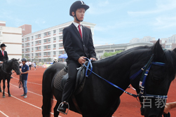苏州外国语学校_马术课环境
