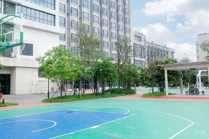学校篮球场环境