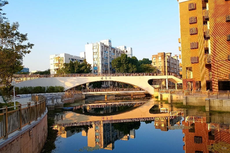 学校环境3