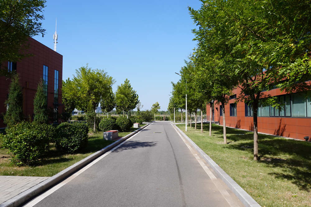 学校环境1