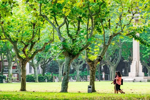 上海同济大学国际本科_环境相册图片