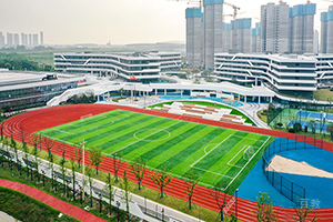 南京金地未来学校_足球场环境
