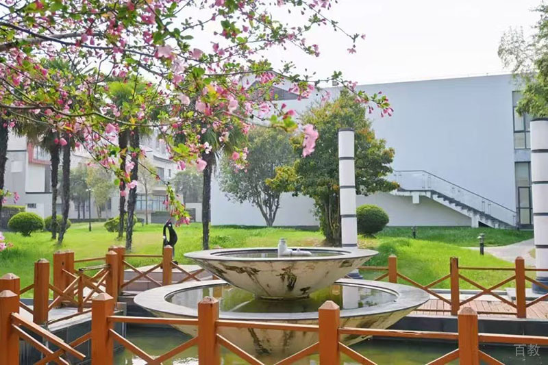 上海美达菲学校_学校环境图片