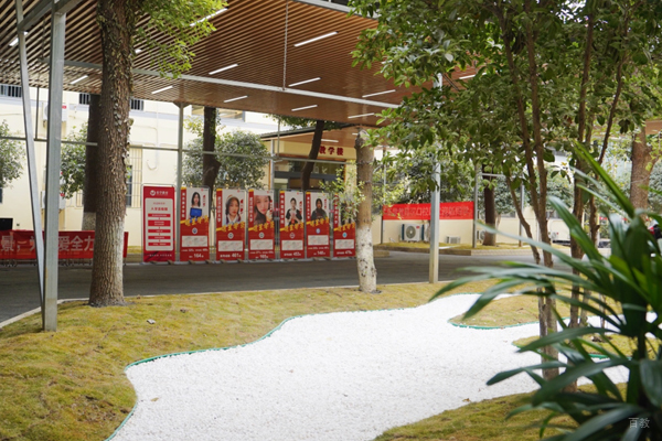校区校园环境展示