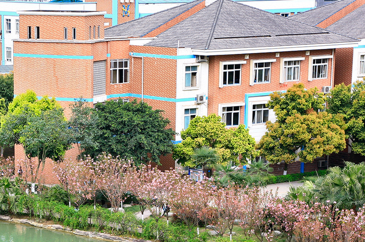 学校环境2