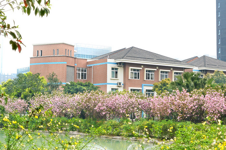 学校环境3