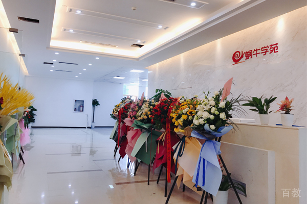 校区前台接待区环境展示