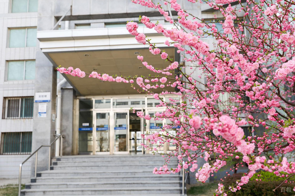 学校环境2