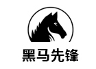 北京黑马先锋IT培训学校