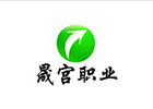 北京晟宫教育