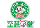 上海至慧学堂