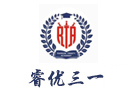 上海IB课程培训机构-上海睿优三一学院