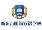 北京国际高中培训机构-北京新东方双语